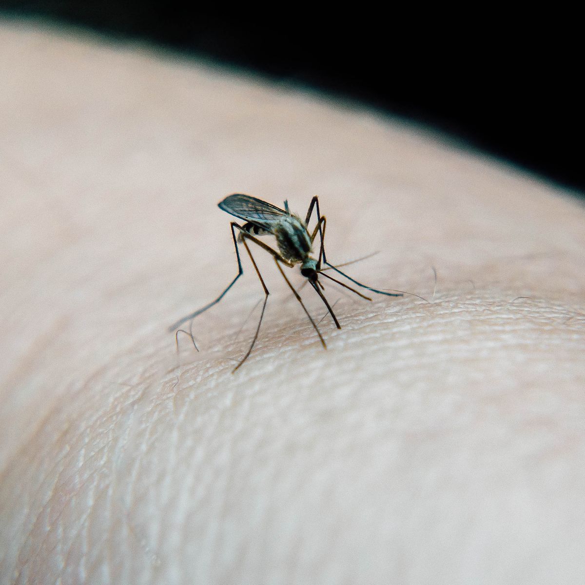 Was ist die Schlafkrankheit Die Techniker