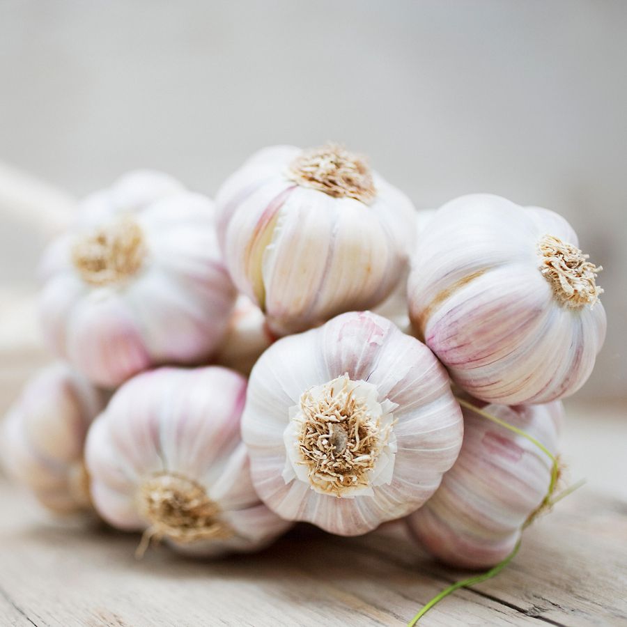 Knoblauch Fur Blut Herz Und Gefasse Die Techniker