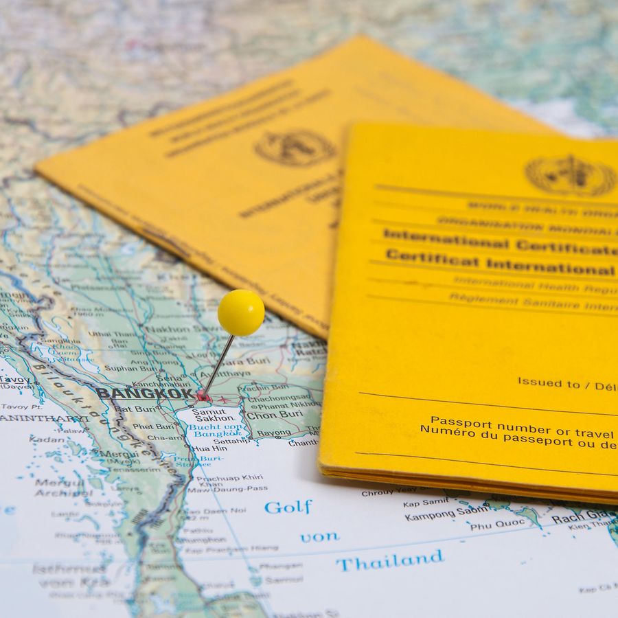 Reiseimpfungen | Die Techniker