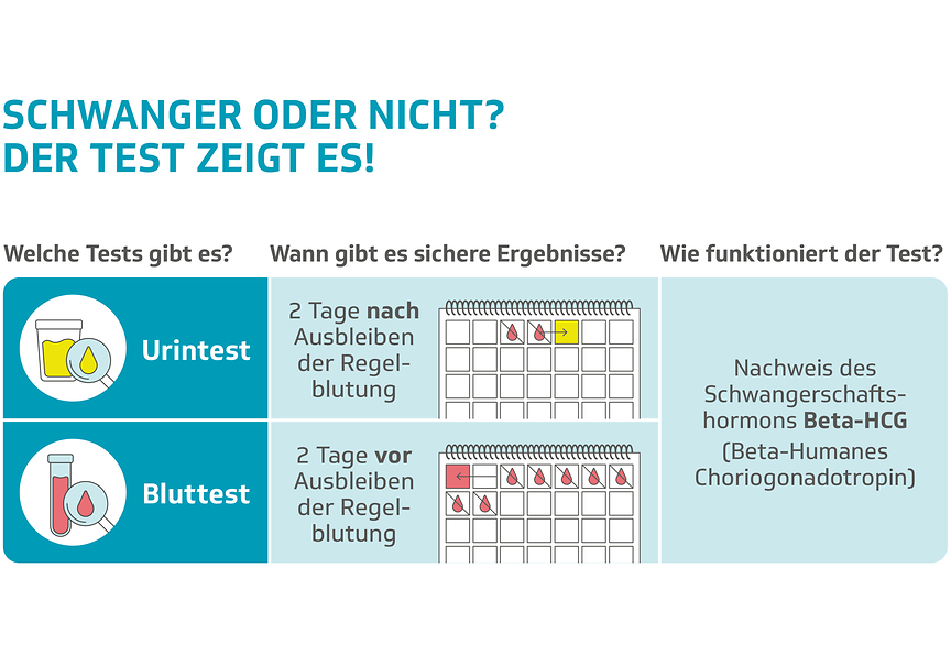 Ab wann liefert ein Schwangerschaftstest sichere Ergebnisse? - Die Techniker